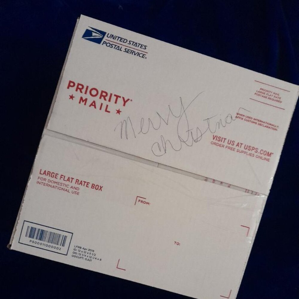 Christmas Surprise Box New with Tags Name Brands Bluey. Stitch13 Items